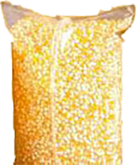 ainpop-mais